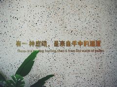 -烫面包·面包烘焙(绿地缤纷城店)