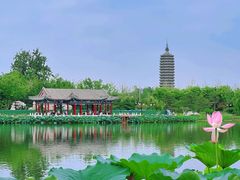 -西海子公园