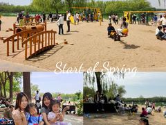 -大兴滨河森林公园