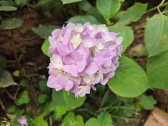 -幸福里时光餐吧