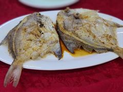 -蛇口康乐快餐鱼仔档(翠苑小区店)