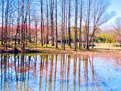 -西溪国家湿地公园