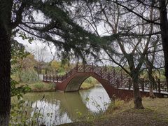 -南湖湿地公园