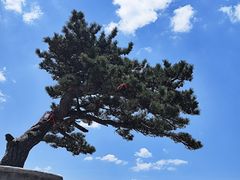 -华山风景名胜区
