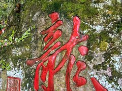 -十八棵（老龙井）御茶园(老龙井店)
