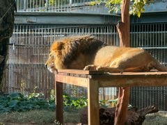 -昆明动物园