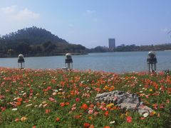 -顺峰山公园