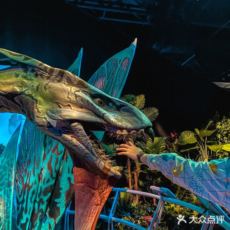 全国首展‼️阿凡达空降成都🧿探索潘多拉星球