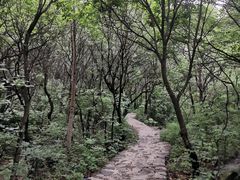 -灵山