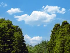 -池杉湖湿地公园