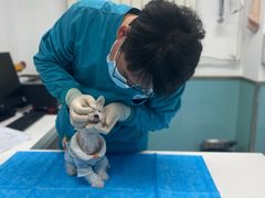 -欧奕国际动物医院