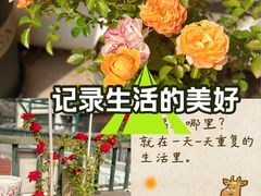 -大连人民广场