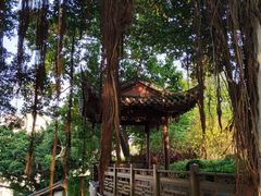 -乌山风景区