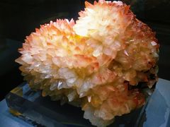 -湖南省地质博物馆