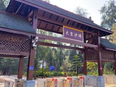 -大京沙滩