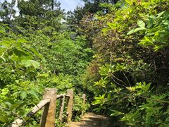 -木兰云雾山