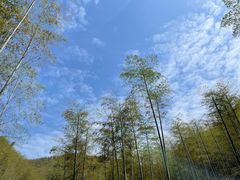 -Space君欧高空江景酒店(重庆解放碑云端之眼店)