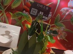 -菊上日式料理(蚌埠银泰店)