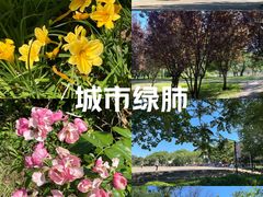 -太阳宫公园