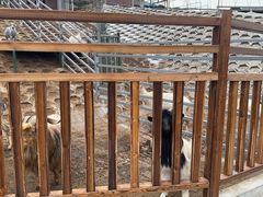 -北京鹿世界主题园