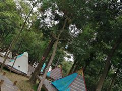 -福建鲤鱼洲酒店