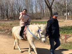 -宿豫区运河湾森林动物园