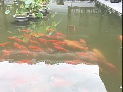 -陶辛水韵
