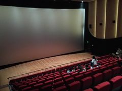 -大光明新国际影城(青浦吾悦店)