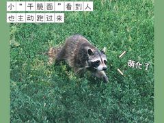 -秦皇岛野生动物园