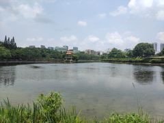-深圳龙潭公园