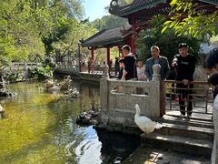-国恩寺