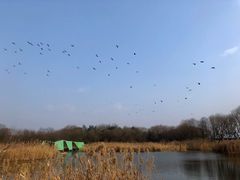 -西湖风景区-江洋畈生态公园