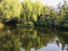 -秋霞圃