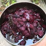 苦瓜杨梅