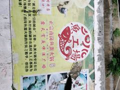 -章记正宗南岗鱼蛋火锅