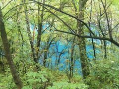 -叠溪松坪沟景区