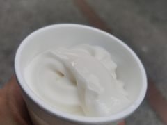 -洪馨椰子