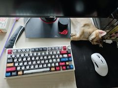 -宠颐生宠物医院·心肾内科·猫专科诊疗中心宠巢店
