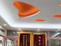 -全心全意连锁动物医院·微创中心·内科急重症·心脏专科(丰管路店)