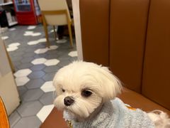-辣公子·千岛湖私房菜(滨江店)