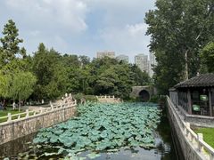 -水绘园
