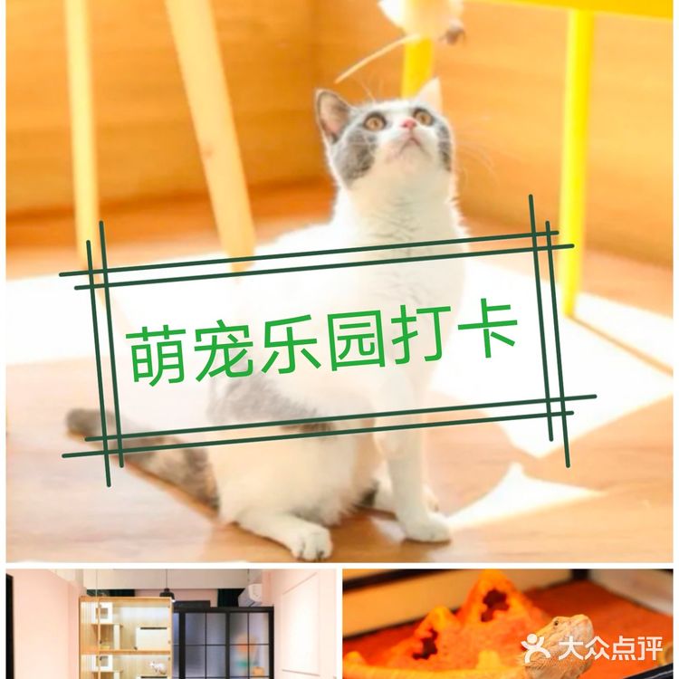 超有爱萌宠乐园,遛娃打卡☑️