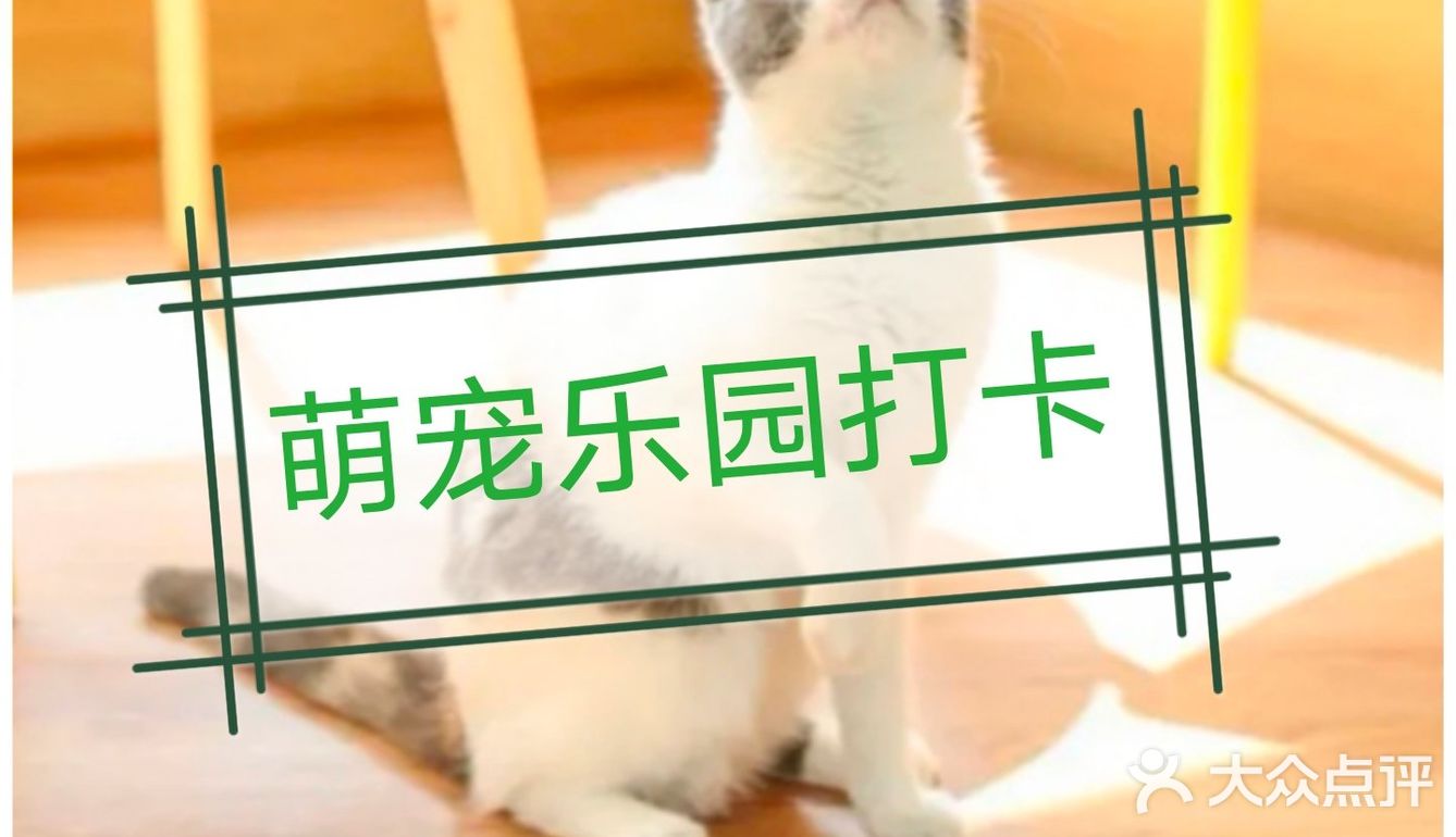 超有爱萌宠乐园，遛娃打卡☑️