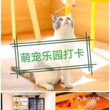 超有爱萌宠乐园，遛娃打卡☑️