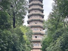 -灵谷景区
