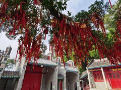 -国恩寺