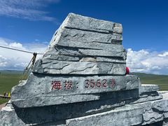 -郭莽湿地