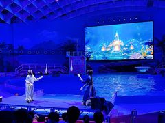 -海合安武汉极地海洋公园
