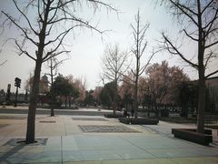 -大雁塔北广场音乐喷泉