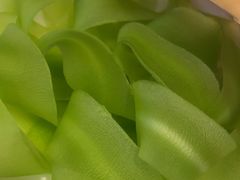 -蜀九香火锅(彩虹店)